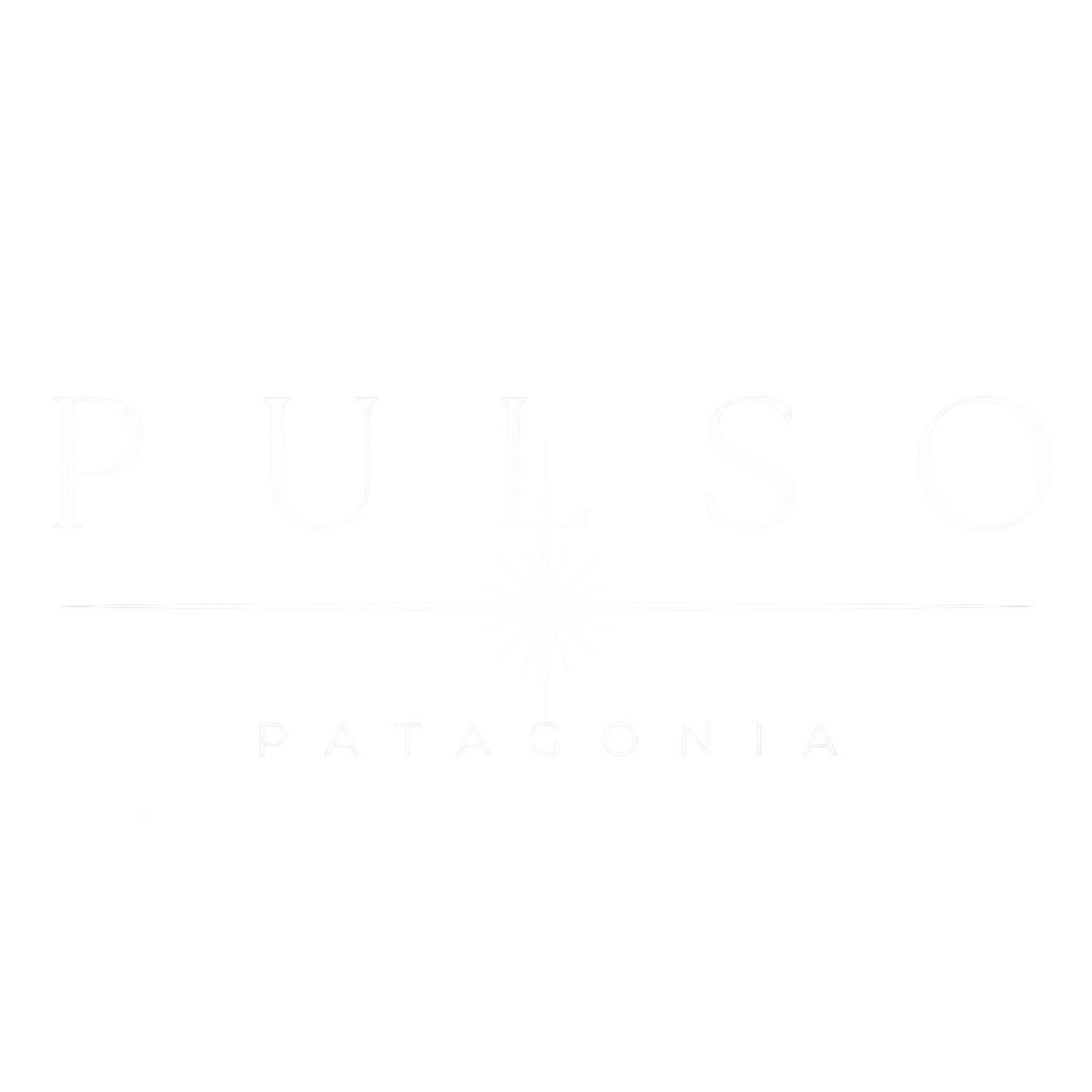 Pulso Patagonia